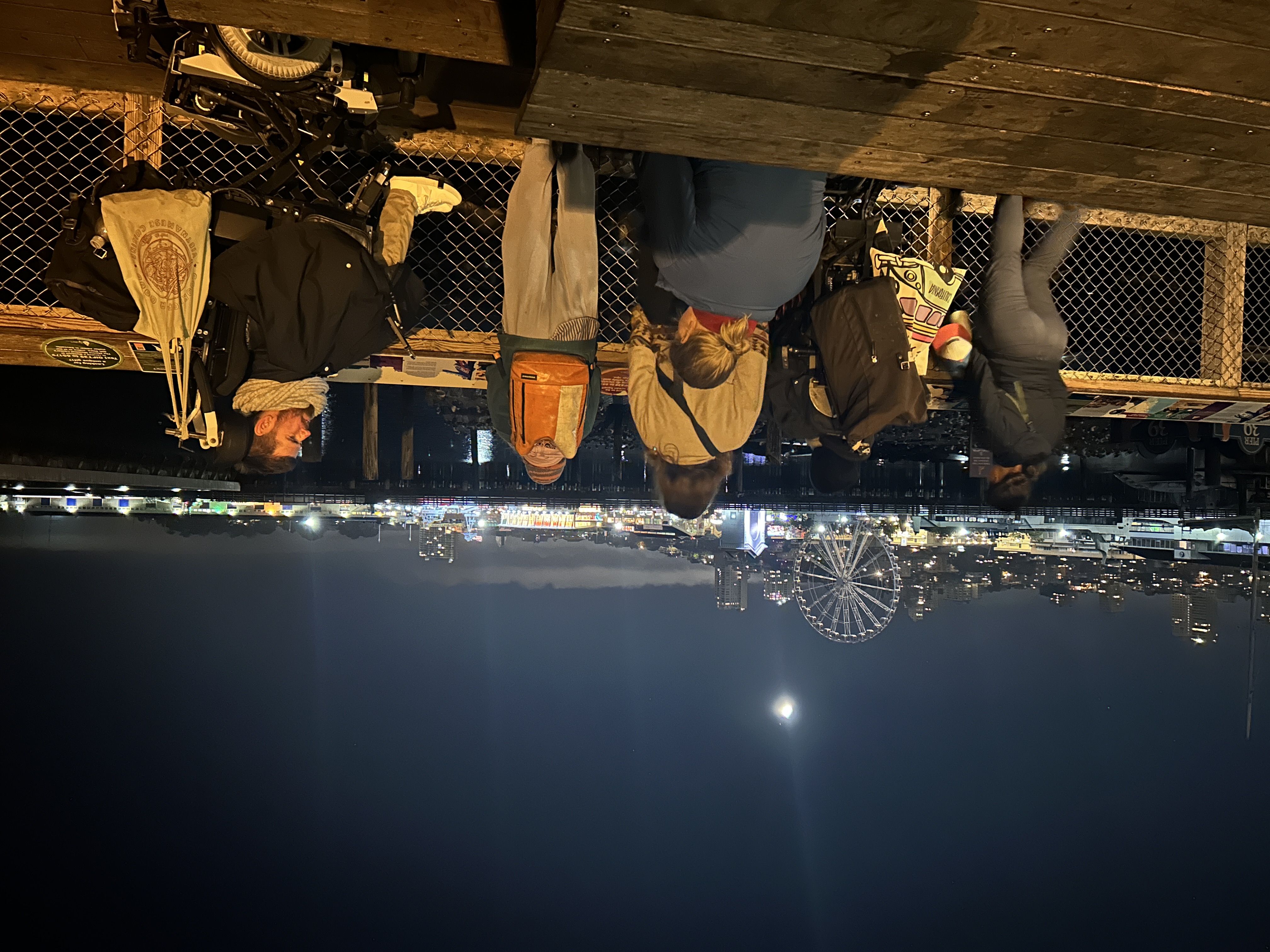 Lachen mit den Seelöwen