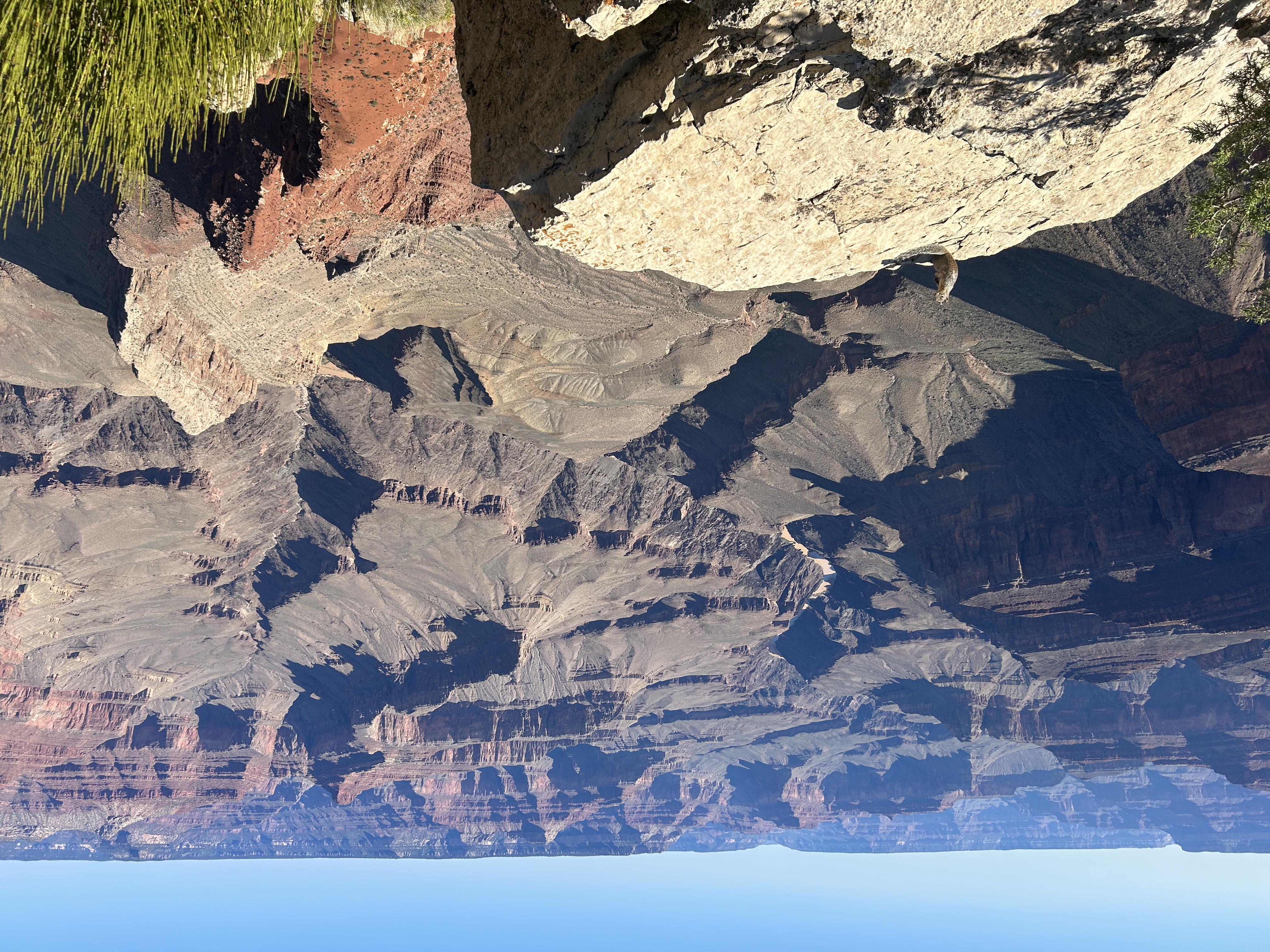 Dem Eichhörnchen gefällts