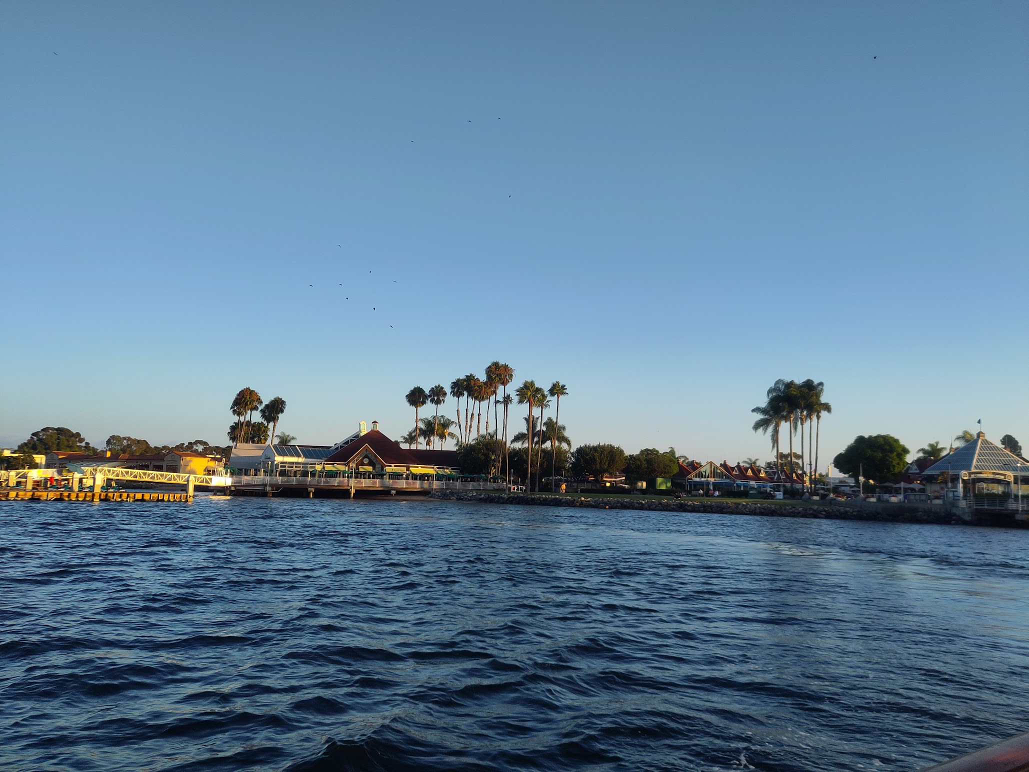 Featured image of post San Diego Downtown